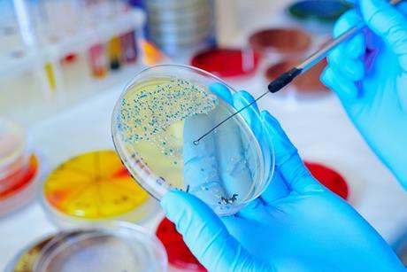 AdobeStock_224184156