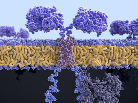 Chimeric antigen receptor: CARs are engineered cell receptors that allow T cells to recognize/attack specifically cancer cells. A signal protein is attached to the intracellular domain illustration