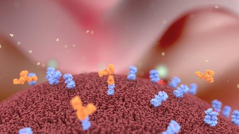 Antibodies binding to cancer cell surface receptors illustration