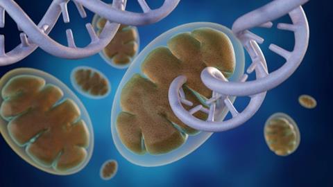 rendering mitochondrion