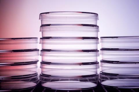 petri dish stack