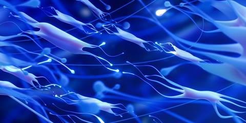 fibroblast concept