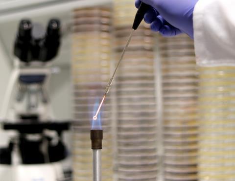 microbiological-culture-researcher-