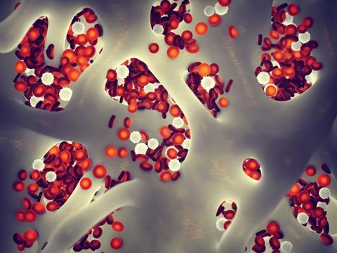 bone-marrow-stem-cells