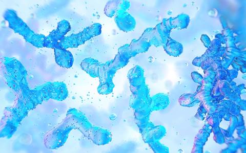 bifidobacterium-gut-health