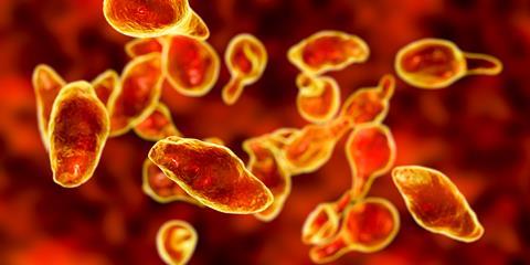 bacteria-mycoplasma-genitalium-concept